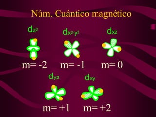 Núm. Cuántico magnético
 dz2          dx2-y2          dxz


m= -2         m= -1          m= 0
        dyz            dxy


       m= +1           m= +2
 