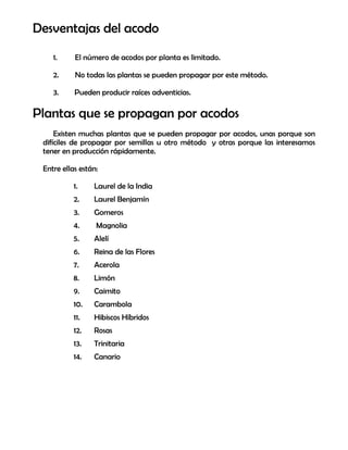 Desventajas del acodo
1. El número de acodos por planta es limitado.
2. No todas las plantas se pueden propagar por este método.
3. Pueden producir raíces adventicias.
Plantas que se propagan por acodos
Existen muchas plantas que se pueden propagar por acodos, unas porque son
difíciles de propagar por semillas u otro método y otras porque las interesamos
tener en producción rápidamente.
Entre ellas están:
1. Laurel de la India
2. Laurel Benjamín
3. Gomeros
4. Magnolia
5. Alelí
6. Reina de las Flores
7. Acerola
8. Limón
9. Caimito
10. Carambola
11. Hibiscos Híbridos
12. Rosas
13. Trinitaria
14. Canario
 