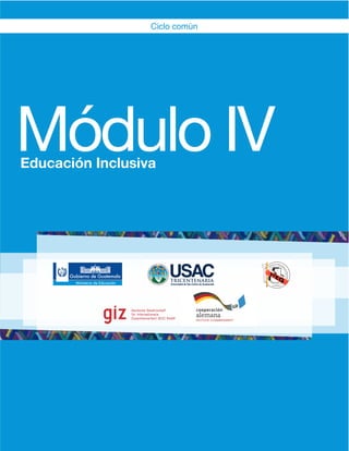 Ciclo común
Educación Inclusiva
Módulo IV
 