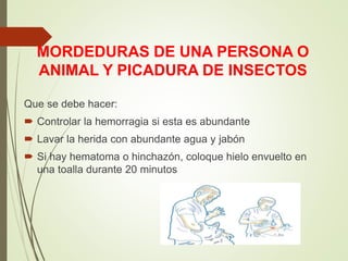 MORDEDURAS DE UNA PERSONA O
ANIMAL Y PICADURA DE INSECTOS
Que se debe hacer:
 Controlar la hemorragia si esta es abundante
 Lavar la herida con abundante agua y jabón
 Si hay hematoma o hinchazón, coloque hielo envuelto en
una toalla durante 20 minutos
 