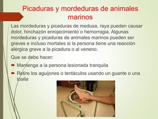 Picaduras y mordeduras de animales
marinos
Las mordeduras y picaduras de medusa, raya pueden causar
dolor, hinchazón enrojecimiento o hemorragia. Algunas
mordeduras y picaduras de animales marinos pueden ser
graves e incluso mortales si la persona tiene una reacción
alérgica grave a la picadura o al veneno.
Que se debe hacer:
 Mantenga a la persona lesionada tranquila
 Retire los aguijones o tentáculos usando un guante o una
toalla
 