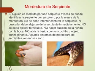 Mordedura de Serpiente
 Si alguien es mordido por una serpiente aveces se puede
identificar la serpiente por su color o por la marca de la
mordedura. No se debe intentar capturar la serpiente, ni
buscarla, debe alejarse de la serpiente inmediatamente. NO
se debe aplicar torniquete, NO hacer succion de la herida
con la boca, NO abrir la herida con un cuchillo u objeto
punzocortante. Algunos síntomas de mordedura de
serpientes venenosas son :
 