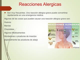 Reacciones Alergicas
 Son muy frecuentes. Una reacción alérgica grave puede convertirse
rápidamente en una emergencia médica.
Algunas de las cosas que pueden causar una reacción alérgica grave son:
Huevos
Maníes
Chocolates
Algunos Medicamentos
Mordeduras o picaduras de insectos
especialmente las picaduras de abeja
 