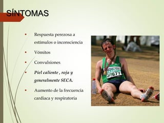 SÍNTOMAS
 Respuesta perezosa a
estímulos o inconsciencia
 Vómitos
 Convulsiones
 Piel caliente , roja y
generalmente SECA.
 Aumento de la frecuencia
cardiaca y respiratoria
 