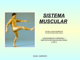 SISTEMA
      MUSCULAR
             OLGA LUCIA QUIROZ B
             N.D. ESP ACTIVIDAD FISICA YSALUD




          CONOCIMIENTO CORPORAL 1
        INSTITUTO DE EDUCACION FISICA
                    U DE A




OLGA L QUIROZ B
 