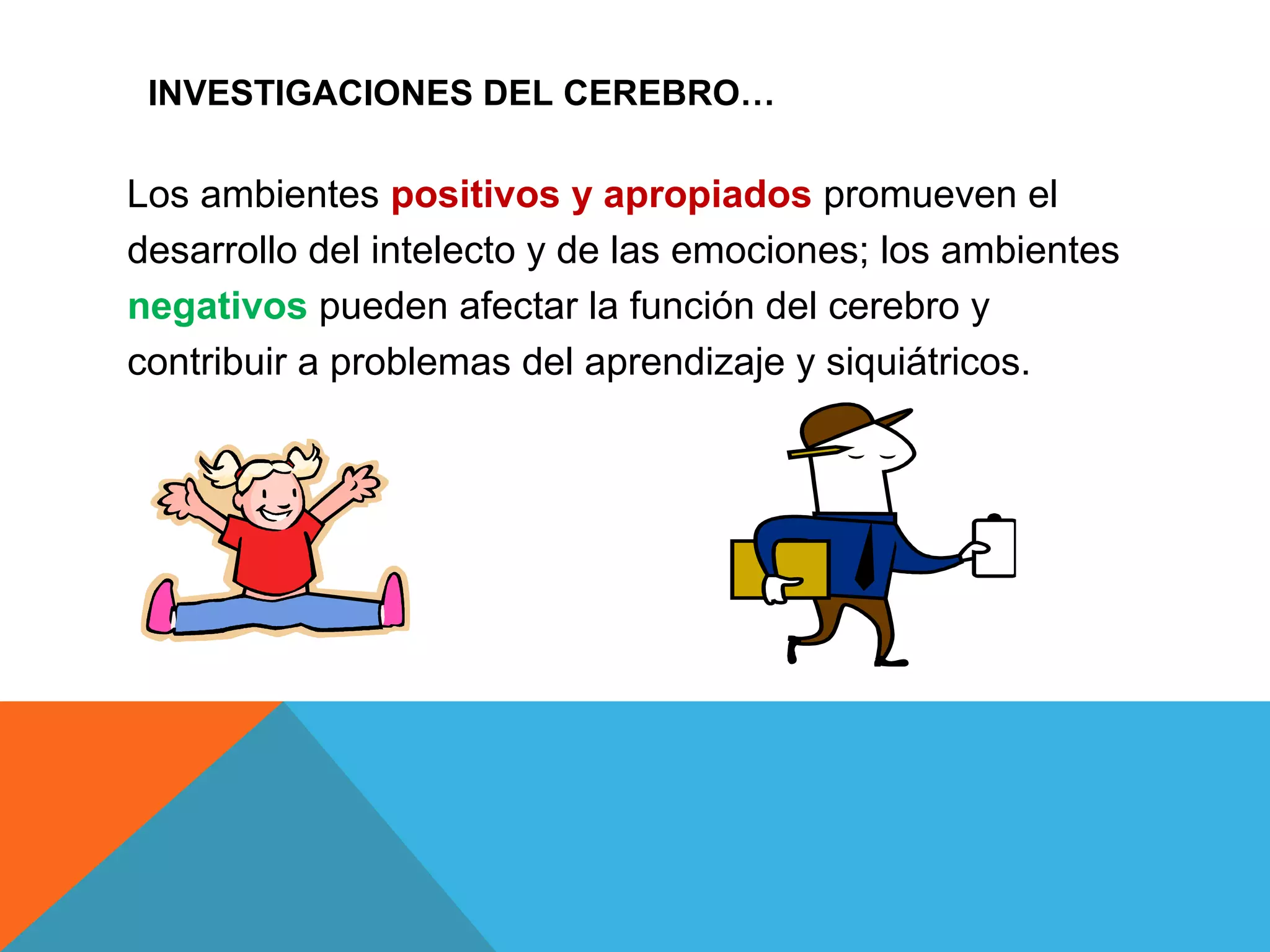 Slide 13