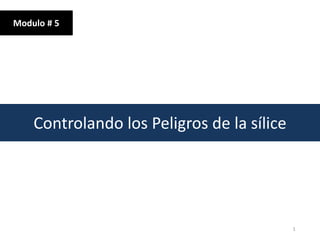 Controlando los Peligros de la sílice
Modulo # 5
1
 