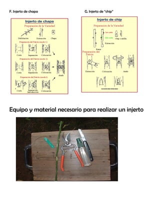 F. Injerto de chapa G. Injerto de “chip”
Equipo y material necesario para realizar un injerto
 