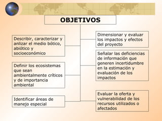 OBJETIVOS Describir, caracterizar y anlizar el medio bótico, abiótico y socioeconómico Definir los ecosistemas que sean ambientalmente críticos y de importancia ambiental Identificar áreas de manejo especial Evaluar la oferta y vulnerabilidad de los recursos utilizados o afectados Dimensionar y evaluar los impactos y efectos del proyecto Señalar las deficiencias de información que generen incertidumbre en la estimación y evaluación de los impactos 