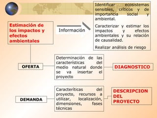 Estimación de los impactos y efectos ambientales   Información Identificar ecosistemas sensibles, críticos y de importancia social y ambiental. Caracterizar y estimar los impactos y efectos ambientales y su relación de causalidad. Realizar análisis de riesgo OFERTA Determinación de las características del medio natural donde se va insertar el proyecto DEMANDA DIAGNOSTICO Caracteríticas del proyecto, recursos a utilizar, localización, dimensiones, fases técnicas DESCRIPCION DEL PROYECTO 