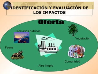 IDENTIFICACIÓN Y EVALUACIÓN DE LOS IMPACTOS Recursos hidrícos Aire limpio Vegetación Fauna Comunidad Oferta 