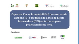 Gracias a:
Capacitación en la contabilidad de reservas de
carbono (C) y los flujos de Gases de Efecto
Invernadero (GEI) en turberas para
profesionales de Perú
 