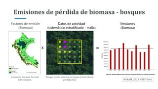 Factores de emisión
(Biomasa)
Datos de actividad
(sistemático estratificado - malla)
Bosque (verde oscuro), no bosque (verde claro),
pérdida (lila)
X =
Emisiones
(Biomasa)
Inventario Nacional Forestal
& Forestplots
Emisiones de pérdida de biomasa - bosques
MINAM, 2021 NREF Perú
 