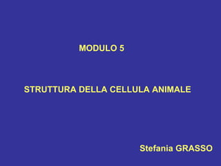MODULO 5 STRUTTURA DELLA CELLULA ANIMALE Stefania GRASSO 