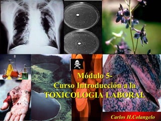 Módulo 5-  Curso Introducción a la  TOXICOLOGIA LABORAL  Carlos H.Colangelo 