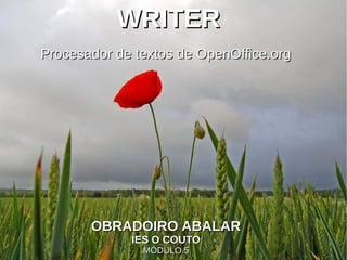WRITER
Procesador de textos de OpenOffice.org




       OBRADOIRO ABALAR
             IES O COUTO
               MÓDULO 5
 