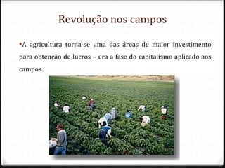 Revolução nos campos

A agricultura torna-se uma das áreas de maior investimento
para obtenção de lucros – era a fase do capitalismo aplicado aos
campos.
 