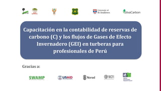 Gracias a:
Capacitación en la contabilidad de reservas de
carbono (C) y los flujos de Gases de Efecto
Invernadero (GEI) en turberas para
profesionales de Perú
 