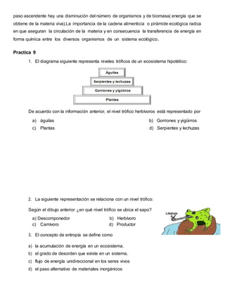 paso ascendente hay una disminución del número de organismos y de biomasa( energía que se
obtiene de la materia viva).La importancia de la cadena alimenticia o pirámide ecológica radica
en que aseguran la circulación de la materia y en consecuencia la transferencia de energía en
forma química entre los diversos organismos de un sistema ecológico.
Practica 9
1. El diagrama siguiente representa niveles tróficos de un ecosistema hipotético:
De acuerdo con la información anterior, el nivel trófico herbívoros está representado por
a) águilas b) Gorriones y yigüirros
c) Plantas d) Serpientes y lechuzas
2. La siguiente representación se relaciona con un nivel trófico:
Según el dibujo anterior ¿en qué nivel trófico se ubica el sapo?
a) Descomponedor b) Herbívoro
c) Carnívoro d) Productor
3. El concepto de entropía se define como
a) la acumulación de energía en un ecosistema.
b) el grado de desorden que existe en un sistema.
c) flujo de energía unidireccional en los seres vivos
d) el paso alternativo de materiales inorgánicos
 