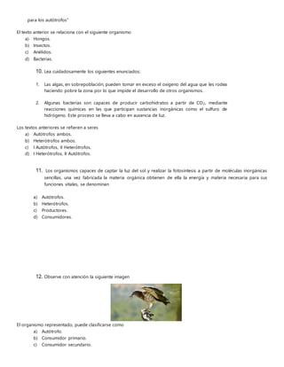 para los autótrofos”
El texto anterior se relaciona con el siguiente organismo
a) Hongos.
b) Insectos.
c) Anélidos.
d) Bacterias.
10. Lea cuidadosamente los siguientes enunciados:
1. Las algas, en sobrepoblación, pueden tomar en exceso el oxígeno del agua que les rodea
haciendo pobre la zona por lo que impide el desarrollo de otros organismos.
2. Algunas bacterias son capaces de producir carbohidratos a partir de CO2, mediante
reacciones químicas en las que participan sustancias inorgánicas como el sulfuro de
hidrógeno. Este proceso se lleva a cabo en ausencia de luz.
Los textos anteriores se refieren a seres
a) Autótrofos ambos.
b) Heterótrofos ambos.
c) I Autótrofos, II Heterótrofos.
d) I Heterótrofos, II Autótrofos.
11. Los organismos capaces de captar la luz del sol y realizar la fotosíntesis a partir de moléculas inorgánicas
sencillas, una vez fabricada la materia orgánica obtienen de ella la energía y materia necesaria para sus
funciones vitales, se denominan
a) Autótrofos.
b) Heterótrofos.
c) Productores.
d) Consumidores.
12. Observe con atención la siguiente imagen
El organismo representado, puede clasificarse como
a) Autótrofo.
b) Consumidor primario.
c) Consumidor secundario.
 