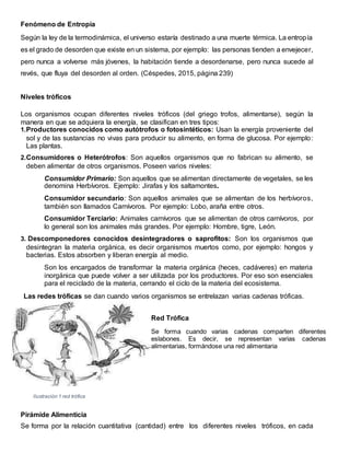 Fenómeno de Entropía
Según la ley de la termodinámica, el universo estaría destinado a una muerte térmica. La entropía
es el grado de desorden que existe en un sistema, por ejemplo: las personas tienden a envejecer,
pero nunca a volverse más jóvenes, la habitación tiende a desordenarse, pero nunca sucede al
revés, que fluya del desorden al orden. (Céspedes, 2015, página 239)
Niveles tróficos
Los organismos ocupan diferentes niveles tróficos (del griego trofos, alimentarse), según la
manera en que se adquiera la energía, se clasifican en tres tipos:
1.Productores conocidos como autótrofos o fotosintéticos: Usan la energía proveniente del
sol y de las sustancias no vivas para producir su alimento, en forma de glucosa. Por ejemplo:
Las plantas.
2.Consumidores o Heterótrofos: Son aquellos organismos que no fabrican su alimento, se
deben alimentar de otros organismos. Poseen varios niveles:
Consumidor Primario: Son aquellos que se alimentan directamente de vegetales, se les
denomina Herbívoros. Ejemplo: Jirafas y los saltamontes.
Consumidor secundario: Son aquellos animales que se alimentan de los herbívoros,
también son llamados Carnívoros. Por ejemplo: Lobo, araña entre otros.
Consumidor Terciario: Animales carnívoros que se alimentan de otros carnívoros, por
lo general son los animales más grandes. Por ejemplo: Hombre, tigre, León.
3. Descomponedores conocidos desintegradores o saprofitos: Son los organismos que
desintegran la materia orgánica, es decir organismos muertos como, por ejemplo: hongos y
bacterias. Estos absorben y liberan energía al medio.
Son los encargados de transformar la materia orgánica (heces, cadáveres) en materia
inorgánica que puede volver a ser utilizada por los productores. Por eso son esenciales
para el reciclado de la materia, cerrando el ciclo de la materia del ecosistema.
Las redes tróficas se dan cuando varios organismos se entrelazan varias cadenas tróficas.
Red Trófica
Se forma cuando varias cadenas comparten diferentes
eslabones. Es decir, se representan varias cadenas
alimentarias, formándose una red alimentaria
Pirámide Alimenticia
Se forma por la relación cuantitativa (cantidad) entre los diferentes niveles tróficos, en cada
Ilustración 1 red trófica
 