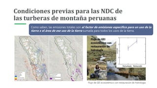 Condiciones previas para las NDC de
las turberas de montaña peruanas
Flujo de GEI ecosistémico con restauración de hidrología
Como saben, las emisiones totales son el factor de emisiones específico para un uso de la
tierra x el área de ese uso de la tierra sumada para todos los usos de la tierra.
 
