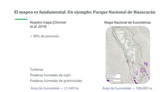 El mapeo es fundamental. Un ejemplo: Parque Nacional de Huascarán
Mapa Nacional de Ecosistemas
Nuestro mapa (Chimner
et al. 2019)
> 90% de precisión
Área de humedales = 21,549 ha Área de humedales = 108,690 ha
Turberas
Praderas húmedas de cojín
Praderas húmedas de graminoides
 