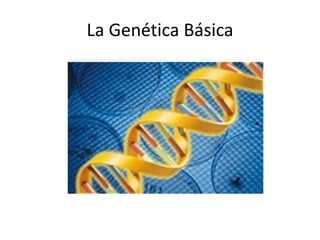 La Genética Básica
 