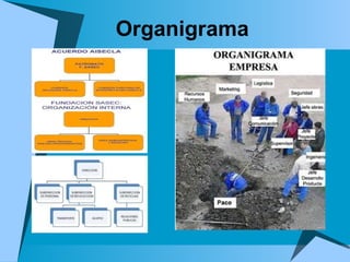 Organigrama 