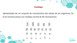 .
Cariótipo
Apresentação de um conjunto de cromossomos das células de um organismo. Ex:
O ser humano possui um cariótipo normal de 46 cromossomos.
 