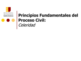 Principios Fundamentales del Proceso Civil:  Celeridad 