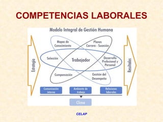 COMPETENCIAS LABORALES




          CELAP
 