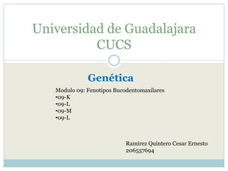 Universidad de Guadalajara
CUCS
Genética
Modulo 09: Fenotipos Bucodentomaxilares
•09-K
•09-L
•09-M
•09-L

Ramírez Quintero Cesar Ernesto
206557694

 