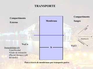 TRANSPORTE

Compartimento

Compartimento
Membrana

Externo

Sangre
P
UP

Distribución
El
im
ina
ció
n
NH2

NH2

Vo,Co
Permeabilidad (D)
•Lipofilicidad
•Grado de ionización
(Pka del fármaco y pH
del medio)

h

Vi,Ci

Paso a través de membranas por transporte pasivo
23/02/14

Dr. Drury Atencio

13

 