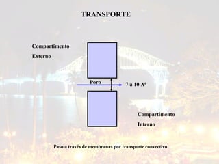 TRANSPORTE

Compartimento
Externo

Poro

7 a 10 A0

Compartimento
Interno

Paso a través de membranas por transporte convectivo
23/02/14

Dr. Drury Atencio

15

 