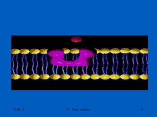 23/02/14

Dr. Drury Atencio

18

 