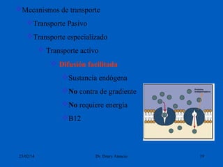 Mecanismos de transporte
Transporte Pasivo
Transporte especializado
 Transporte activo
 Difusión facilitada
Sustancia endógena
No contra de gradiente
No requiere energía
B12

23/02/14

Dr. Drury Atencio

19

 