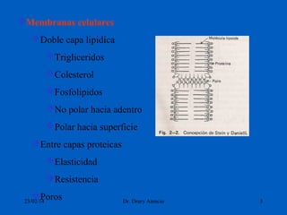 Membranas celulares
Doble capa lipidica
Trigliceridos
Colesterol
Fosfolipidos
No polar hacia adentro
Polar hacia superficie
Entre capas proteicas
Elasticidad
Resistencia
Poros

23/02/14

Dr. Drury Atencio

3

 