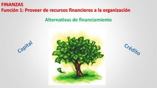 Alternativas de financiamiento
FINANZAS
Función 1: Proveer de recursos financieros a la organización
 