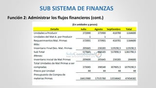 Función 2: Administrar los flujos financieros (cont.)
SUB SISTEMA DE FINANZAS
 