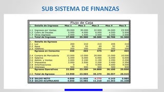 Función 2: Administrar los flujos financieros (cont.)
• FLUJOS DE CAJA
SUB SISTEMA DE FINANZAS
 