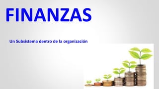 FINANZAS
Un Subsistema dentro de la organización
 