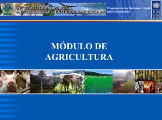 Programa de las Naciones Unidas
para el Desarrollo
MÓDULO DE
AGRICULTURA
 