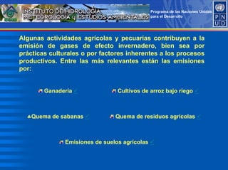 Programa de las Naciones Unidas
para el Desarrollo
Algunas actividades agrícolas y pecuarias contribuyen a la
emisión de gases de efecto invernadero, bien sea por
prácticas culturales o por factores inherentes a los procesos
productivos. Entre las más relevantes están las emisiones
por:
Ganadería 3 Cultivos de arroz bajo riego 3
♣Quema de sabanas 3 Quema de residuos agrícolas 3
Emisiones de suelos agrícolas 3
 