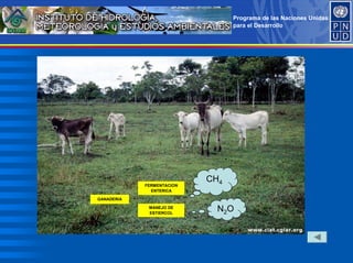 Programa de las Naciones Unidas
para el Desarrollo
CH4
FERMENTACION
ENTERICA
GANADERIA
MANEJO DE
ESTIERCOL
N2O
 