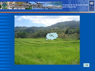 Programa de las Naciones Unidas
para el Desarrollo
CH4
 