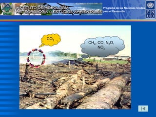 Programa de las Naciones Unidas
para el Desarrollo
CO2
CH4, CO, N2O,
NOx
 