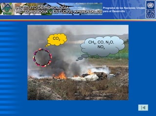 Programa de las Naciones Unidas
para el Desarrollo
CH4, CO, N2O,
NOx
CO2
 
