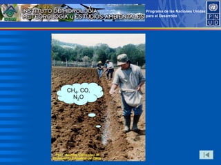 Programa de las Naciones Unidas
para el Desarrollo
CH4, CO,
N2O
 