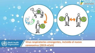 Virus respiratorios emergentes, incluido el nuevo
coronavirus (2019-nCoV)
 